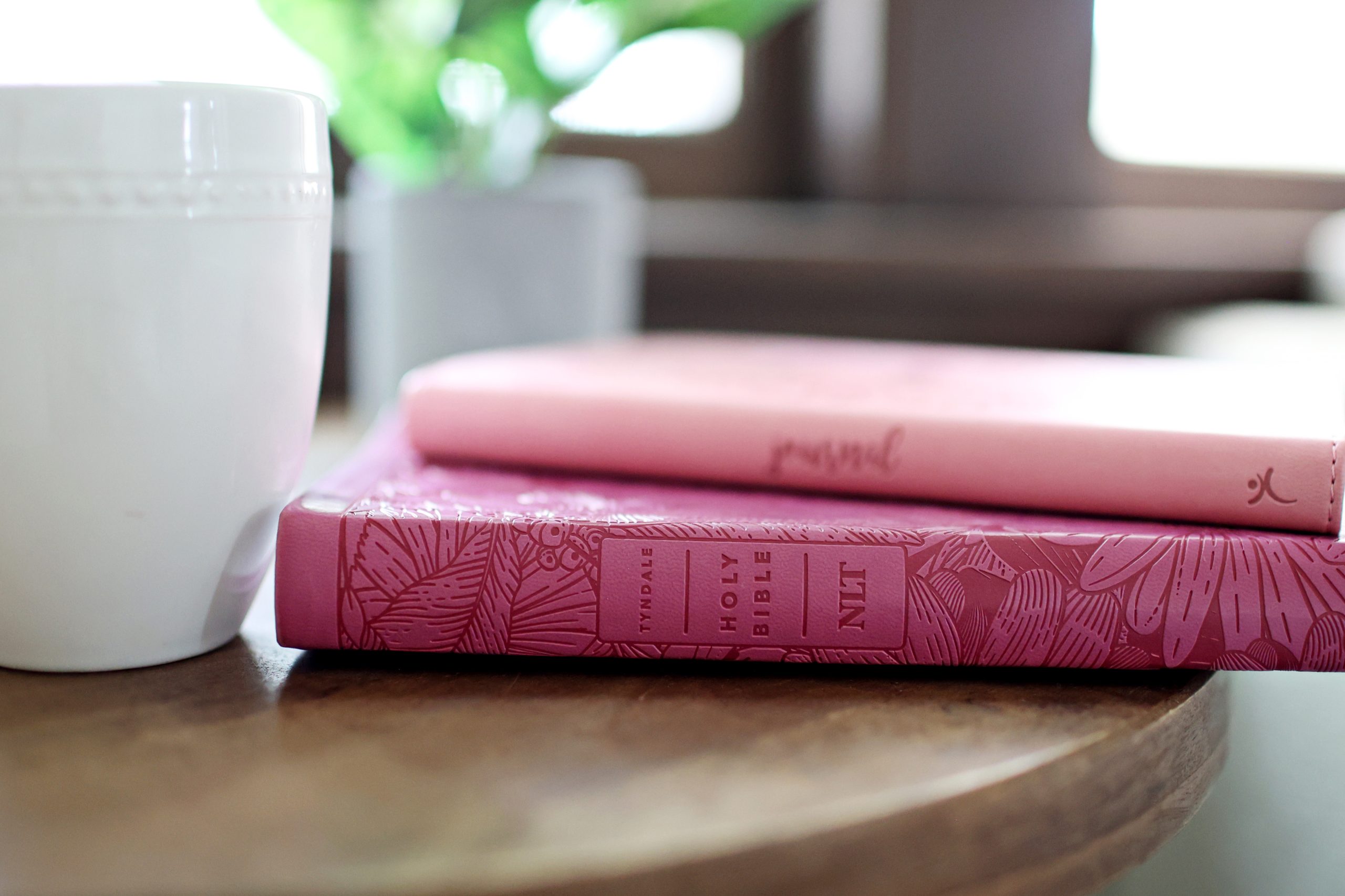 Bible and journal representing Christian trauma therapy for women in Minnesota