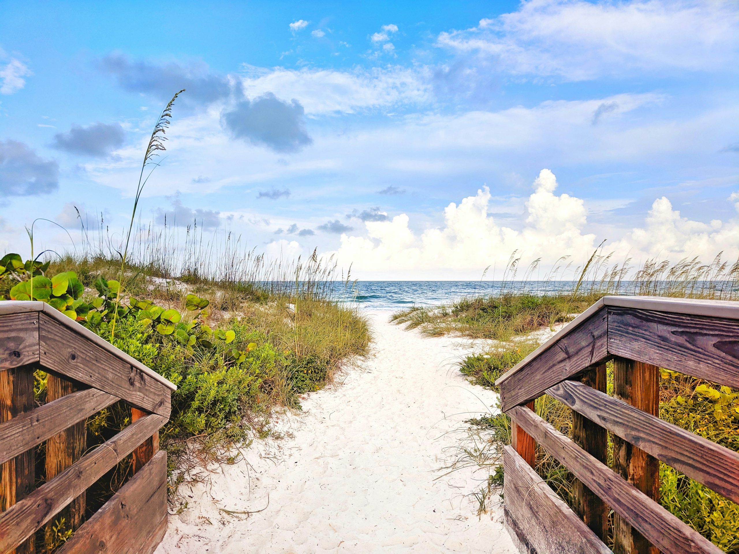 Peaceful coastal dunes and beach landscape