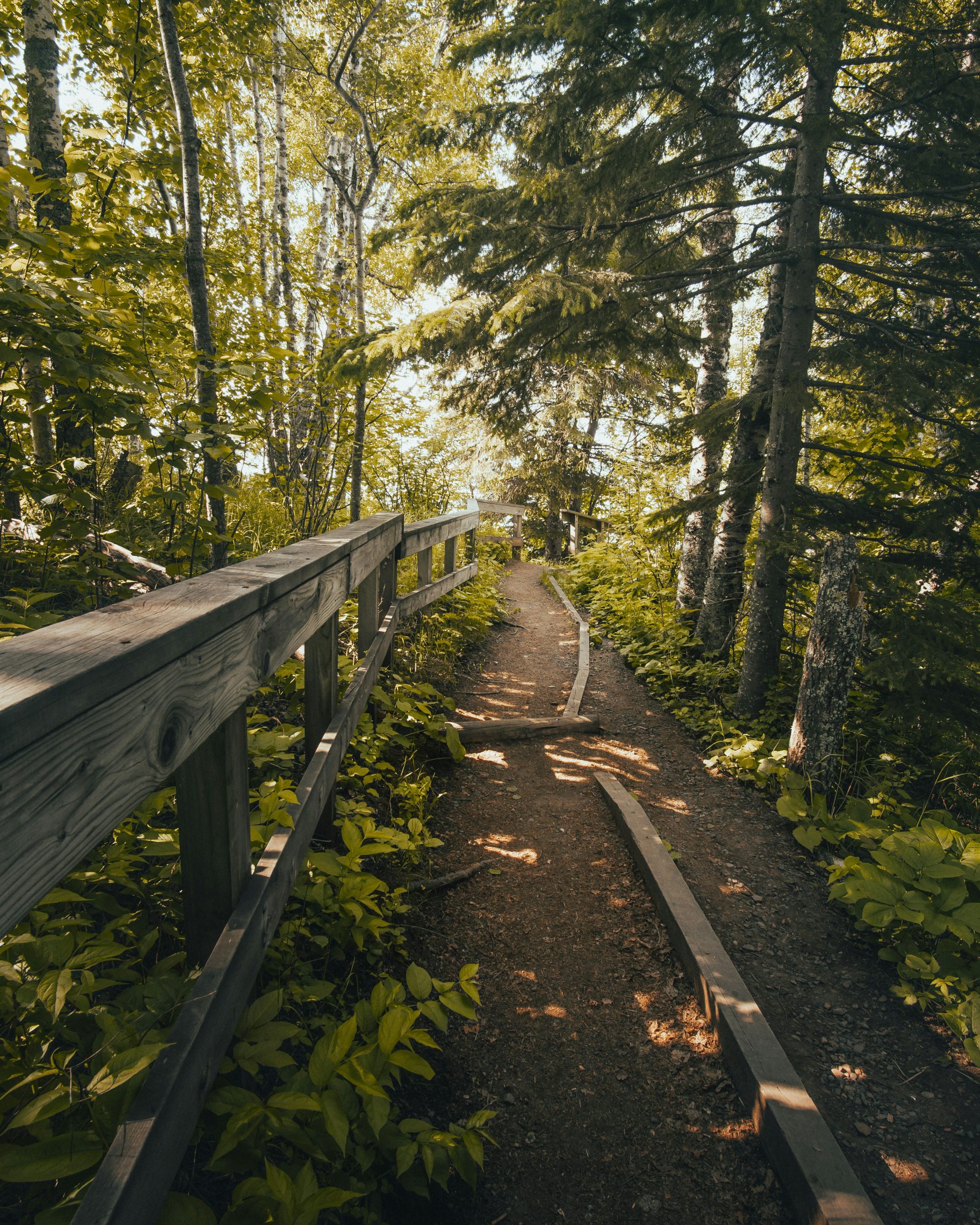 Tree-lined Minnesota lake representing online trauma therapy throughout Minnesota